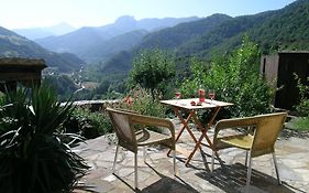 Apartamento Olmares Picos De Europa - 4 Personas