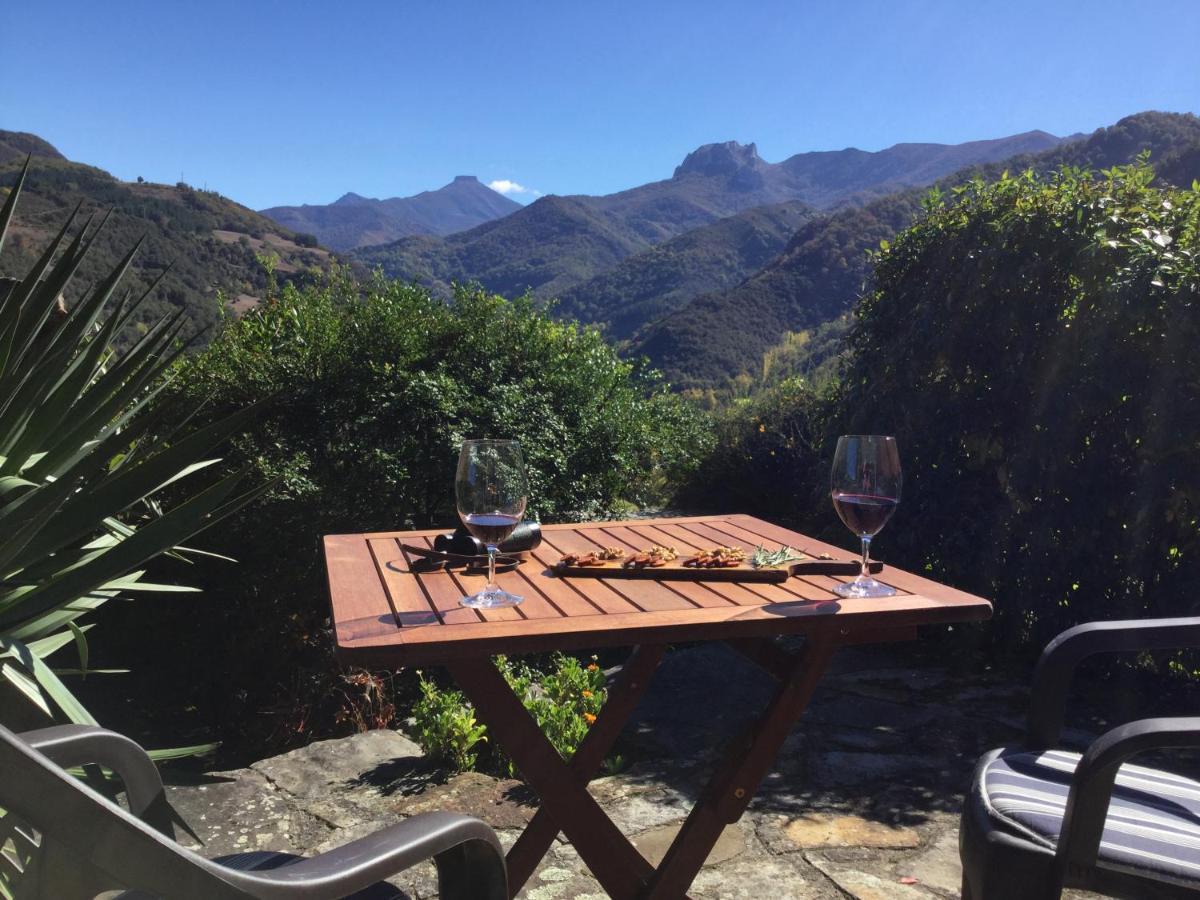 Apartamento Olmares Picos De Europa - 4 Personas Lomeña Buitenkant foto