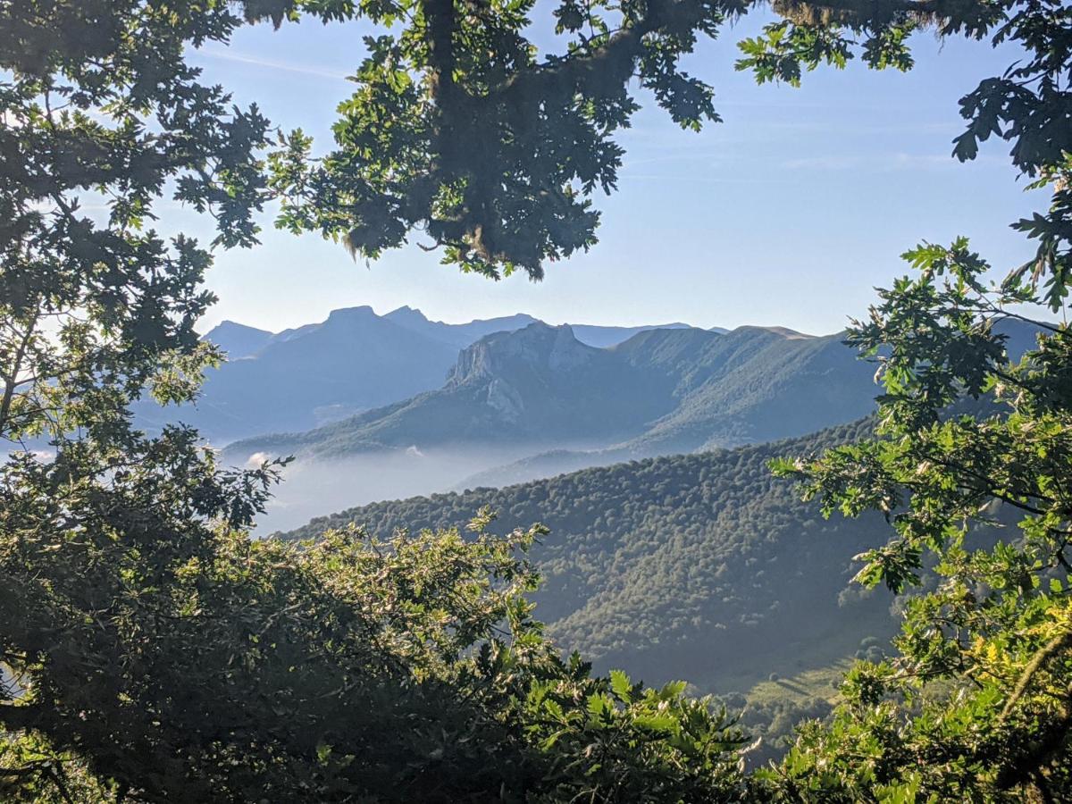 Apartamento Olmares Picos De Europa - 4 Personas Lomeña Buitenkant foto